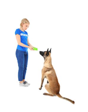 Genç erkek ile anavatan köpek gönüllü 