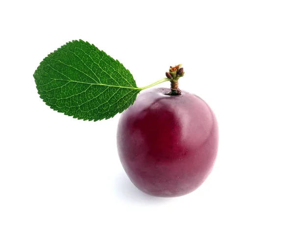 Ripe fresh plum on white background — Stock Photo, Image