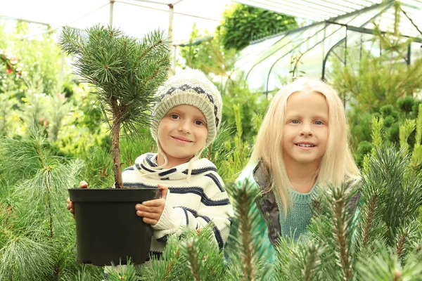 Schattige kinderen op de markt van de kerstboom — Stockfoto