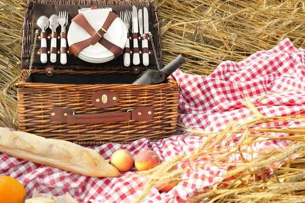 Wiklinowy koszyk i owoce na kratę o pikniku na świeżym powietrzu — Zdjęcie stockowe