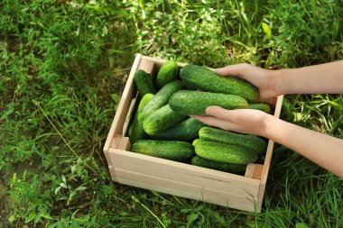 kadın holding salatalık 