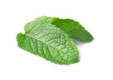 Beyaz arkaplanda taze nane yaprakları