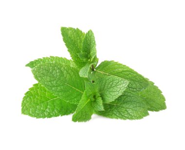 Beyaz arkaplanda taze nane