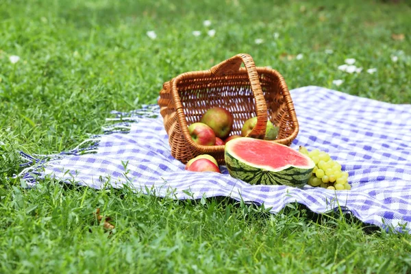 野餐篮子和水果在公园的毯子上的组成 — 图库照片
