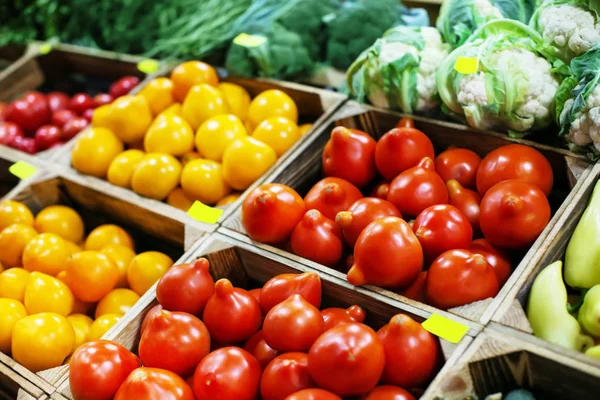 Választék a piacon friss zöldségek — Stock Fotó