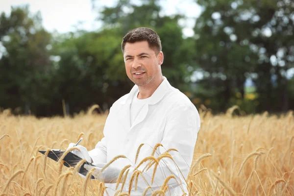 Agronomista com área de transferência no campo de trigo — Fotografia de Stock