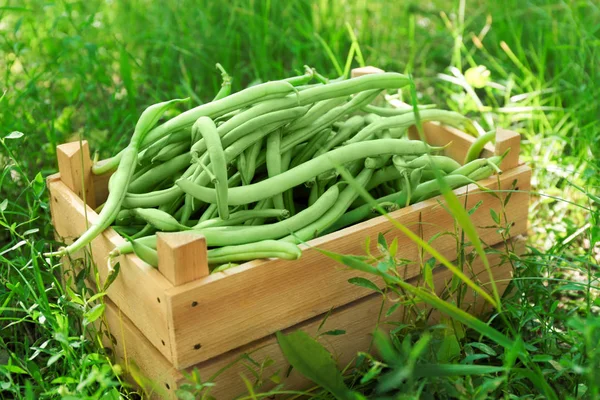Wooden crate with raw fresh organic green beans — Stock Photo, Image