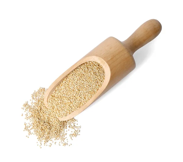 Scoop with raw quinoa grains — Stock Photo, Image