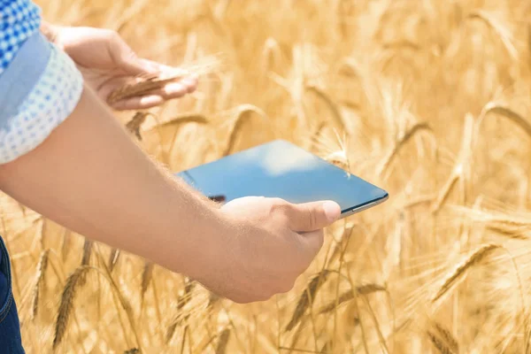 Male farmer holding tablet — Stock Photo, Image