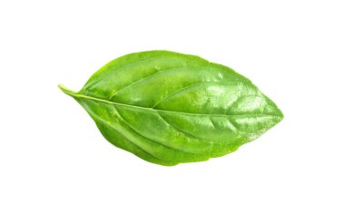 Beyaz izole yeşil taze organik fesleğen