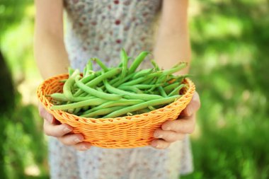 Hasır sepet ham taze organik yeşil fasulye ile tutan kadın