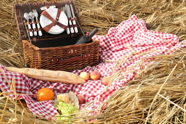 Korg och frukter på pläd på picknick utomhus — Stockfoto