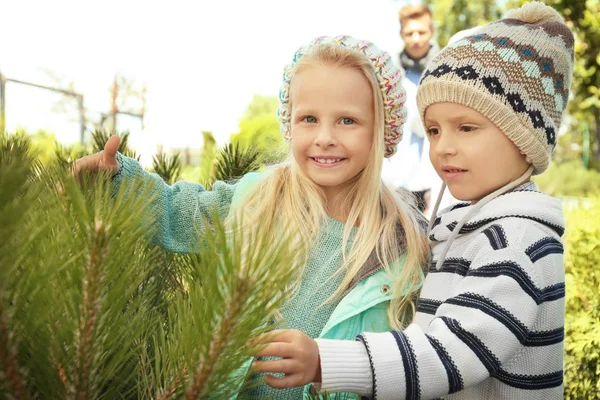 Anak-anak lucu di pasar pohon Natal — Stok Foto