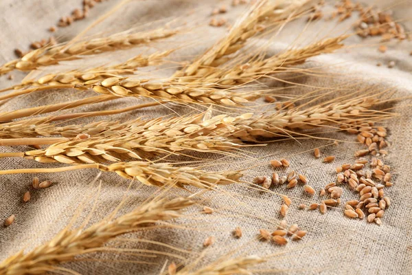 Ripe cereal grains — Stock Photo, Image