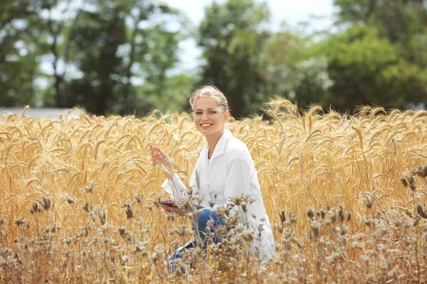 밀밭에서 타블렛으로 젊은 농업 경제 학자 — 스톡 사진
