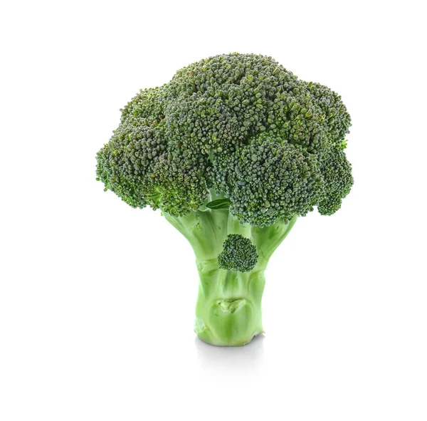 Frischer Brokkoli, isoliert auf weiß — Stockfoto