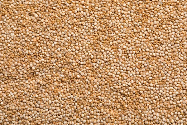 Raw quinoa seeds as background Stock Picture