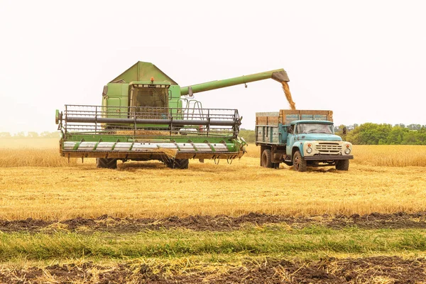 Combina mietitrebbia e camion in campo — Foto Stock