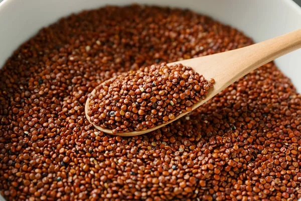 Sked med quinoa frön — Stockfoto