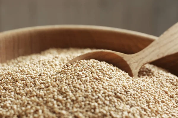 Zbliżenie białe quinoa — Zdjęcie stockowe