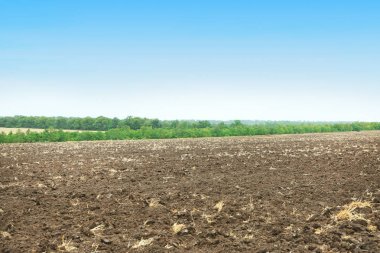 Hasattan sonra sürülen tarlalar