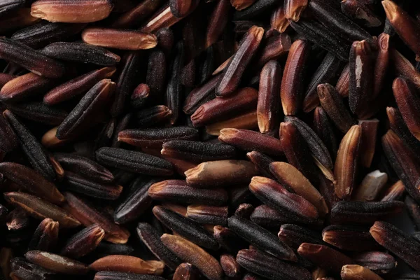 Syrové černé rýže — Stock fotografie