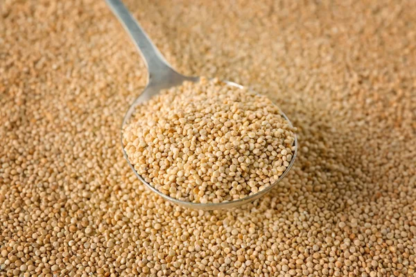 Spoon with quinoa seeds — Stock Photo, Image