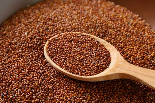 Löffel mit Quinoa-Samen — Stockfoto