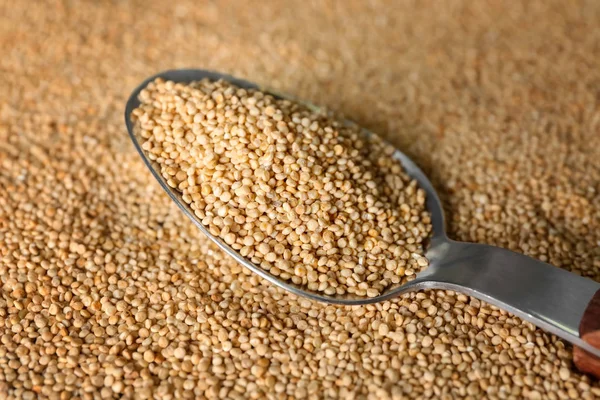 Spoon with quinoa on seeds — Stock Photo, Image