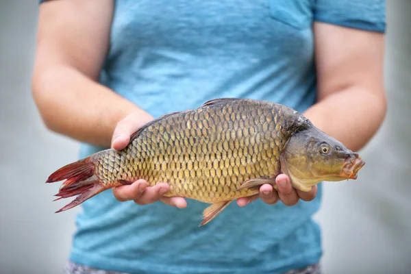 挽きたてを抱きかかえたキャッチ魚のクローズ アップ — ストック写真