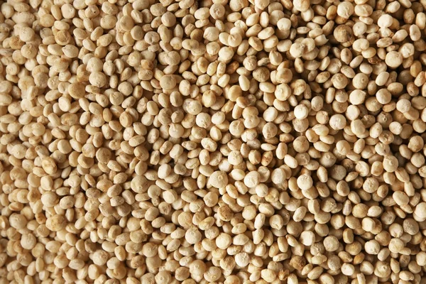 White quinoa closeup — Stock Photo, Image