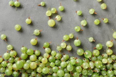 Taze yeşil bektaşi