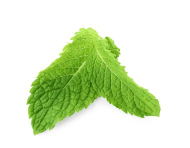 Taze nane üzerinde beyaz izole