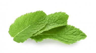 Taze nane üzerinde beyaz izole