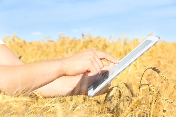 Mannelijke boer bedrijf tablet — Stockfoto