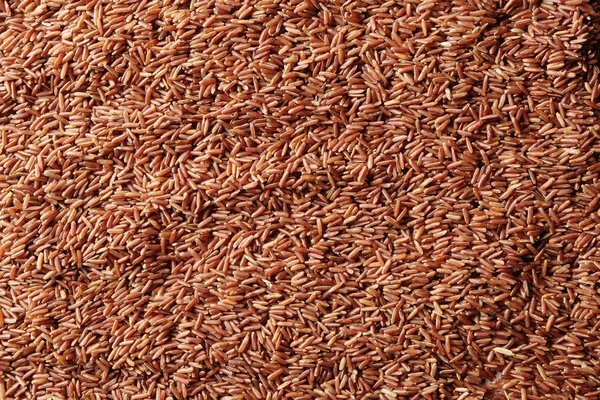 원시 빨간 쌀 — 스톡 사진