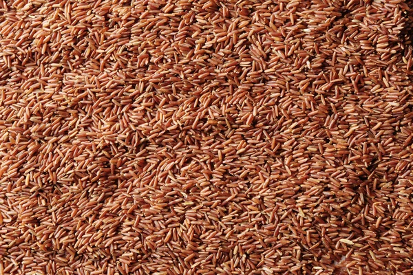 Raw red rice — Stock Photo, Image