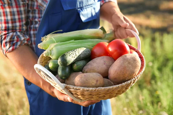 hasır sepet sebzeli tutan çiftçi 
