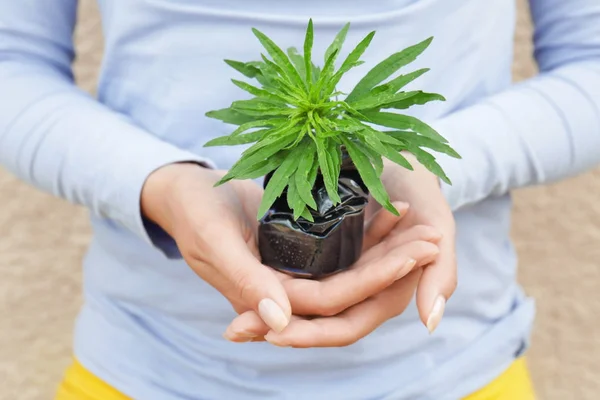 Mujer sosteniendo lata aplastada con joven planta verde. Concepto de reciclaje de basura — Foto de Stock