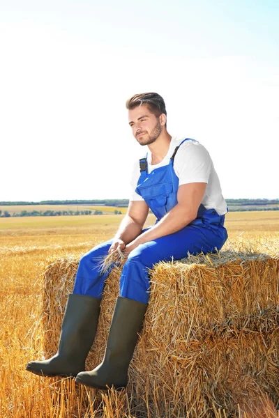 Genç erkek çiftçi — Stok fotoğraf