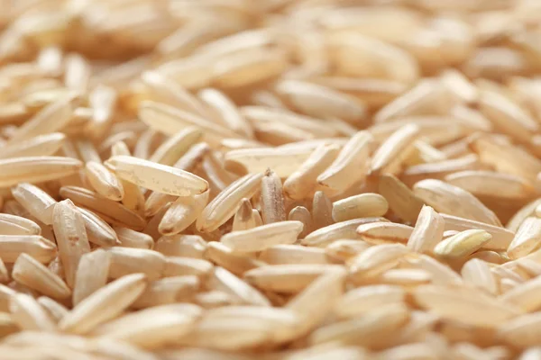 Arroz integral cru, close-up — Fotografia de Stock