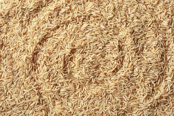 Raw brown rice, closeup — Stock Photo, Image