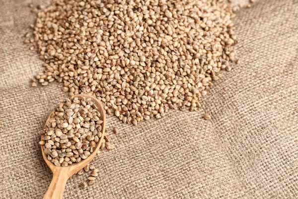 Lingură și grămadă de semințe de cânepă pe sac — Fotografie, imagine de stoc