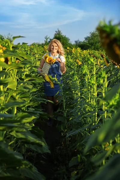 Ayçiçeği tarlasında genç bir kadın — Stok fotoğraf