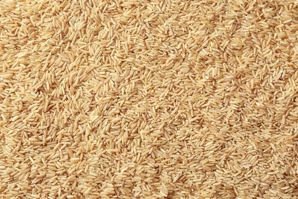 Raw brown rice — Stock Photo, Image