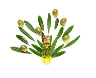 Zeytin yağı ile kompozisyon