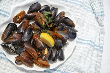 Midye çizgili kumaş üzerine plaka