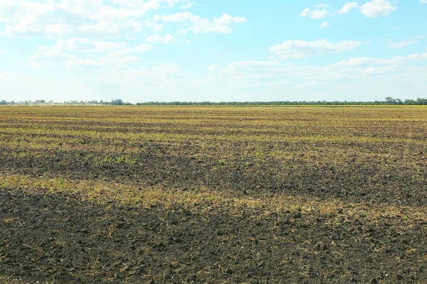 Blick auf gemähtes Feld — Stockfoto