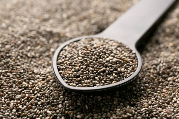 Cucchiaio su semi di chia — Foto Stock