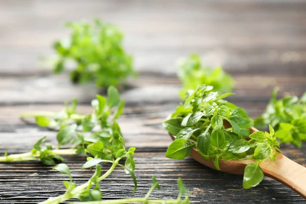 Cucchiaio con origano fresco — Foto Stock